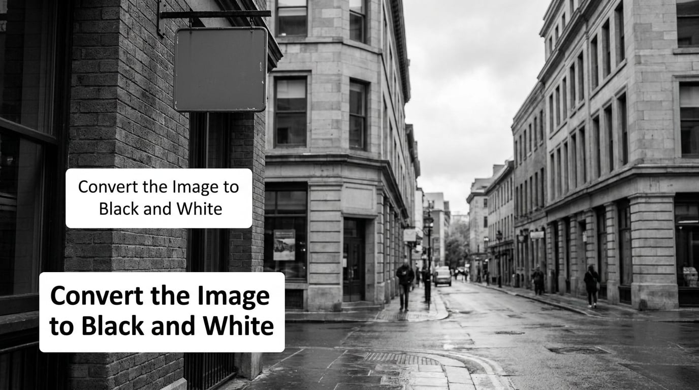 Convert the Image to Black and White