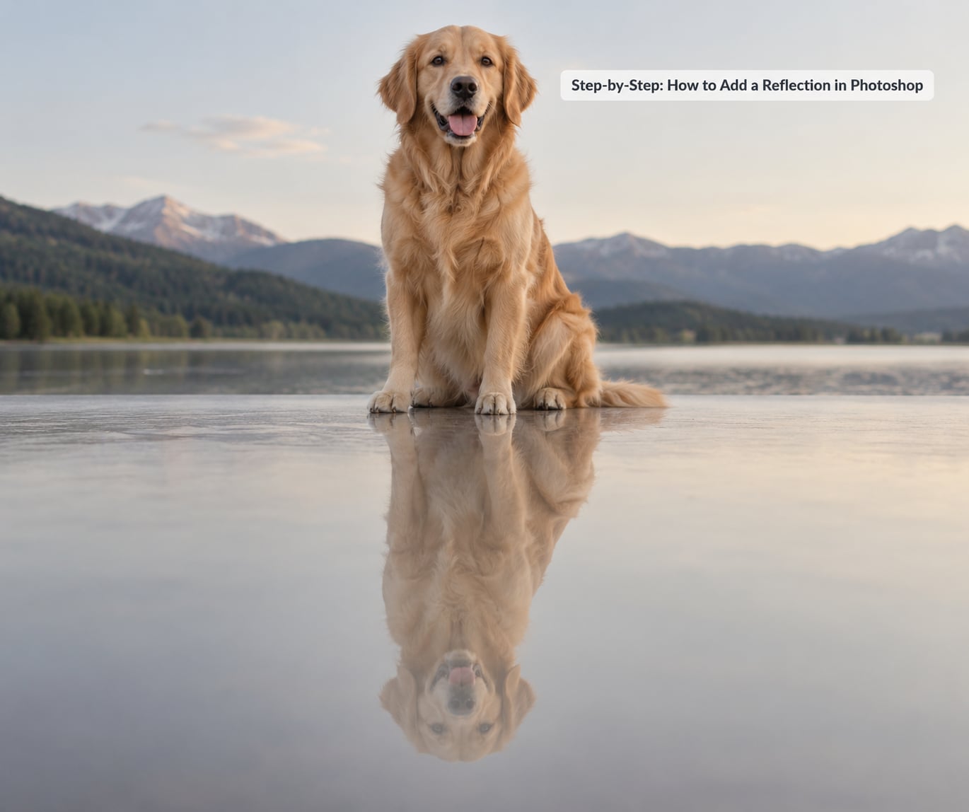 Step-by-Step: How to Add a Reflection in Photoshop