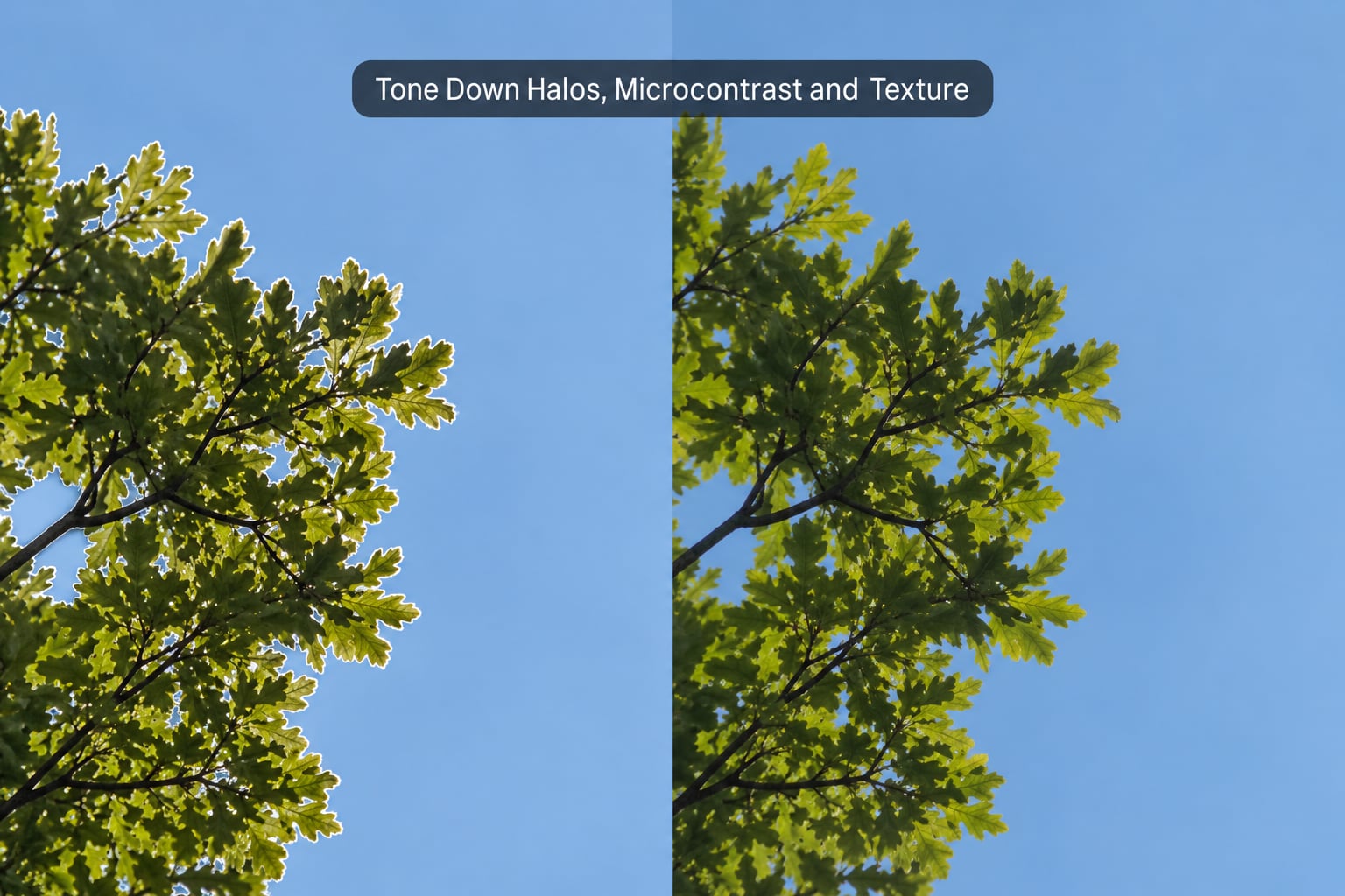 Tone Down Halos, Microcontrast and Texture