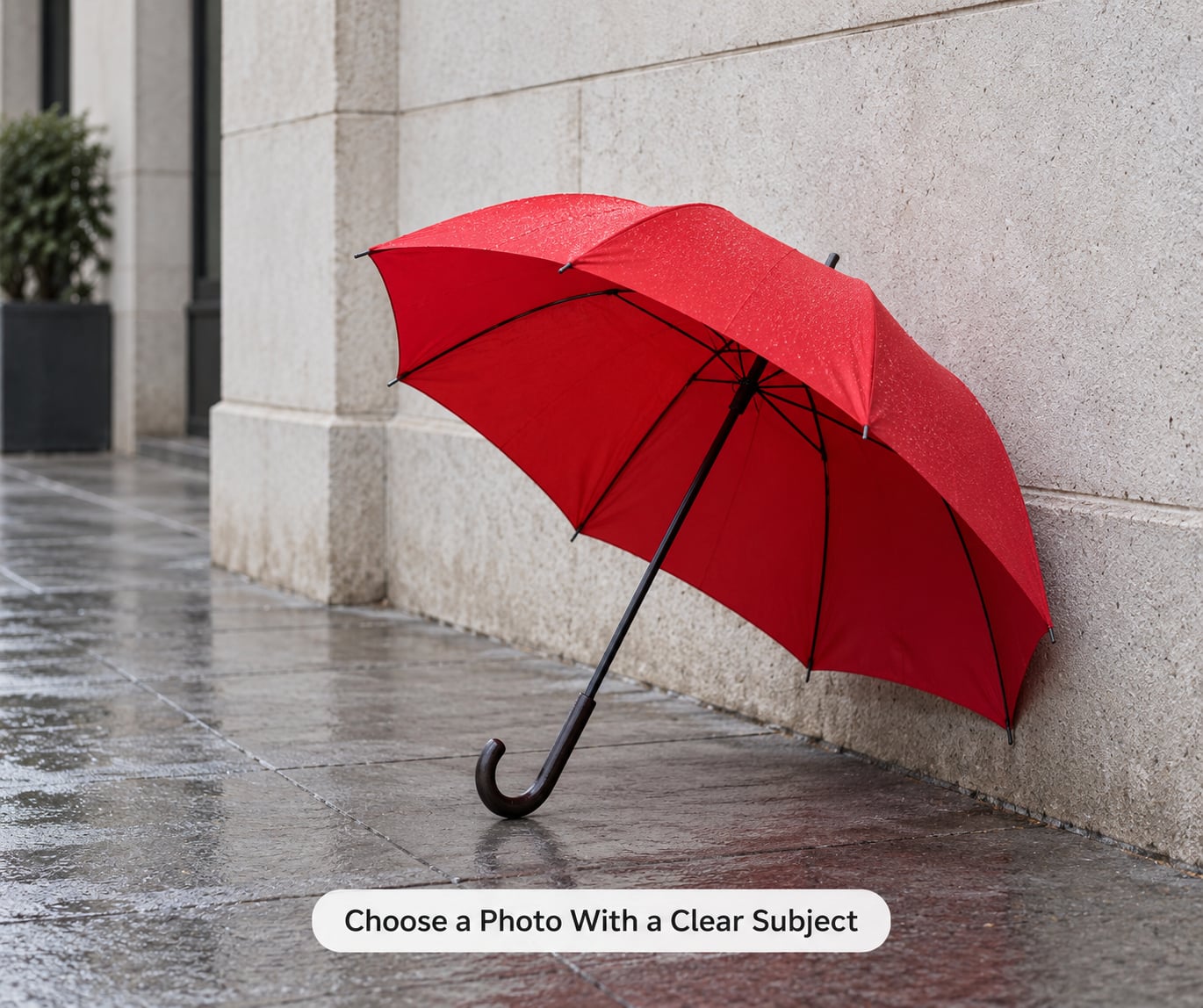 Choose a Photo With a Clear Subject