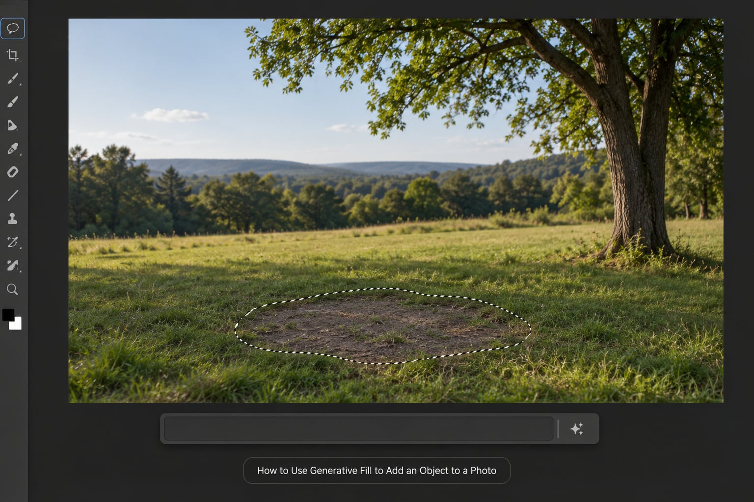 How to Use Generative Fill to Add an Object to a Photo